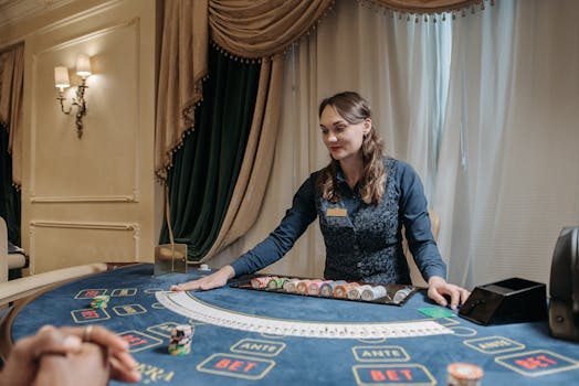 Beginner's Guide to Picking the Best Czech Online Casinos in 2024