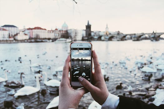 Discover 2024's Premier Mobile Casinos in the Czech Republic: Your Ultimate Guide